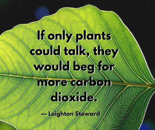 553cb42d-127f-469d-a45a-73ca0d3e4262