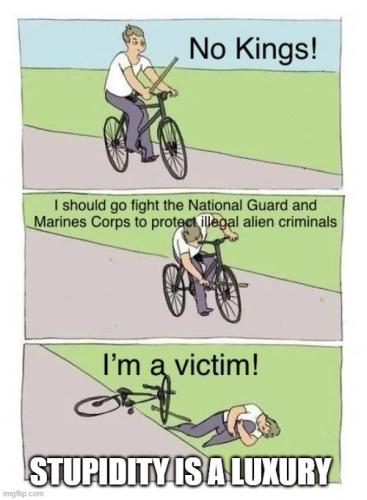 Victimology - Stupidity is a Luxury 1