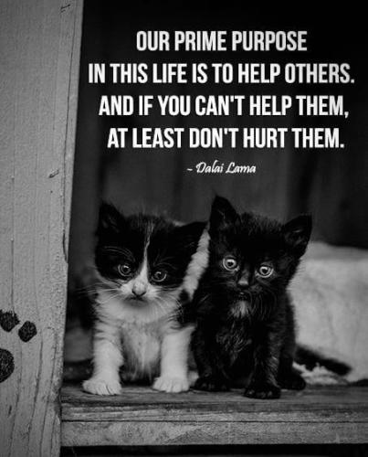 509261029_688417360729389_3143537581872722390_n