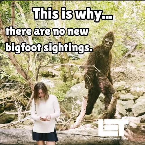 bigfoot-sightings