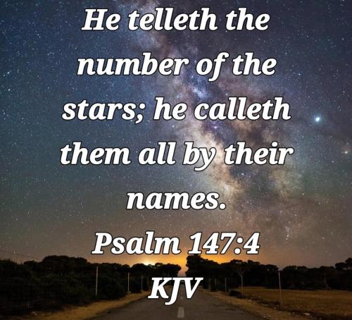 d1689b3a-54f2-4118-82d0-31f74d8dca14