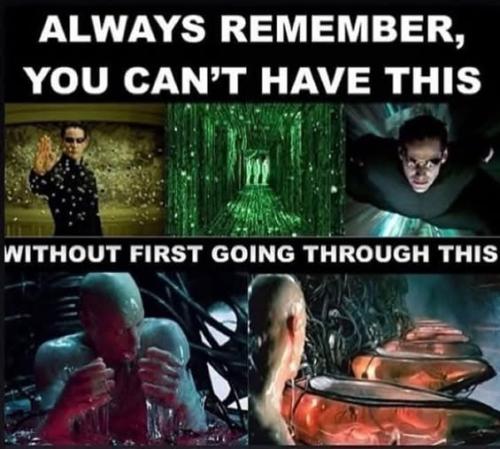 481002098_512756748533236_6767841992744116564_n