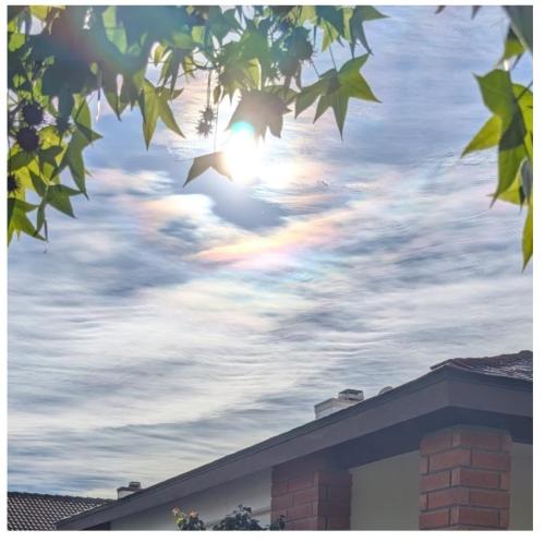 2b4d5541-1363-48d3-972e-58f7a0149066