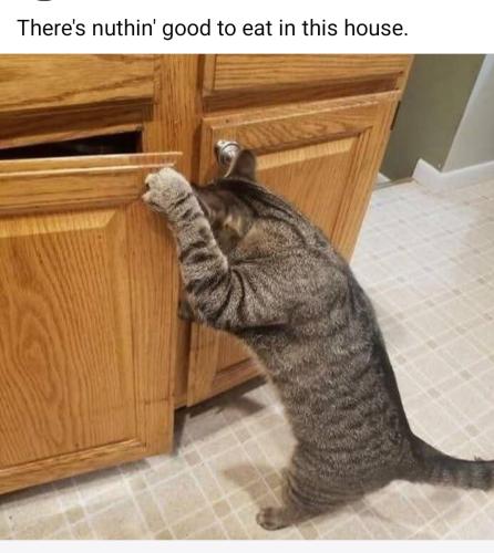 Screenshot_20250618_075342_Facebook_resized