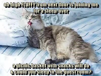 before-you-leave-please-put-a-do-not-disturb-sign-on-the-bedroom-door