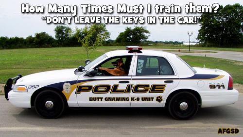 509434561_992737689737015_5119987173299600643_n