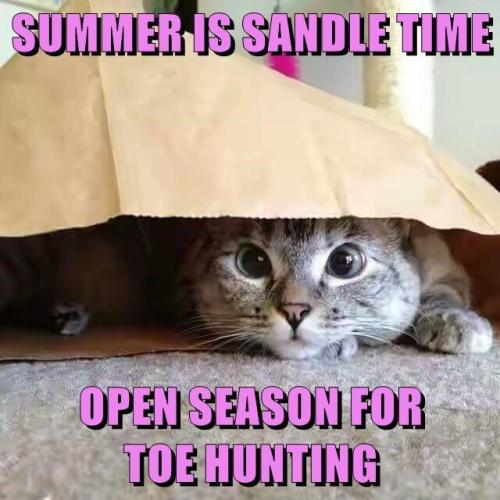 16a787a10b39294263604f2a1513ec5a