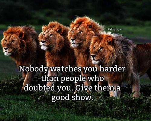 received_1911409242599459