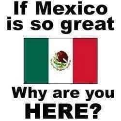 FB_IMG_1749430039236