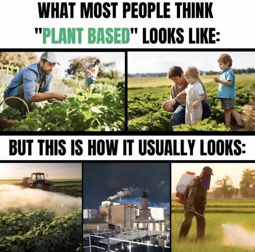 FB_IMG_1749298607903