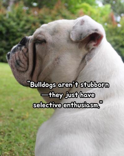 511151770_1290222819358784_1000064510893761320_n