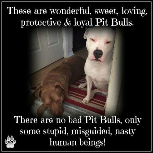 278d41c6dca3cb73ec53c9d1f82b7650