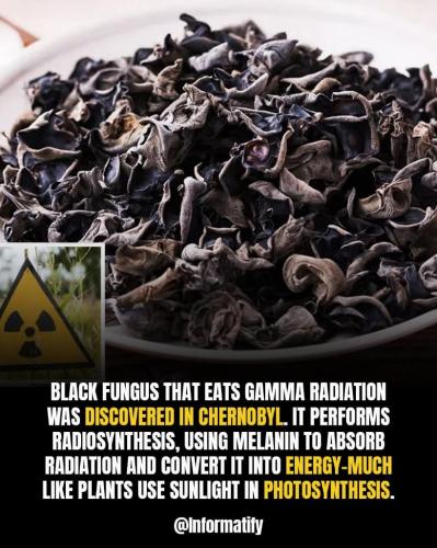 4dfdabce-ffd3-40d7-abbd-6610550eaf98