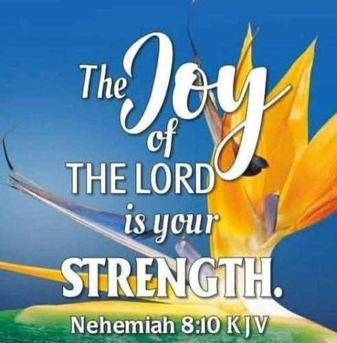 1b723cfb-9e4a-4323-957c-54075abf1c2a