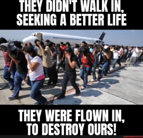 a51d14b0105fd49c1ca6071640dbd3a53ffb6fccbf0cbab2180de6616a6d5321_1