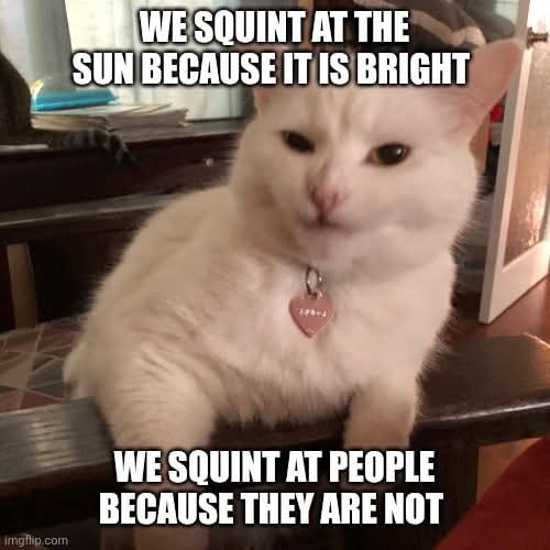 FB_IMG_1750539758711