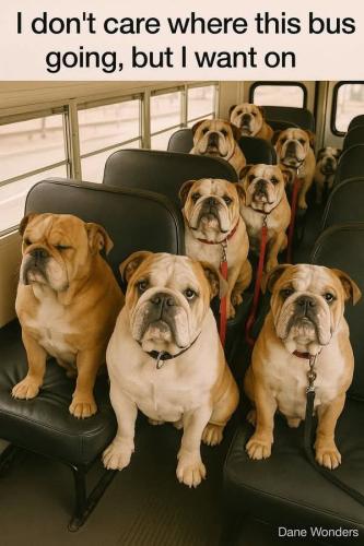 FB_IMG_1749221689526