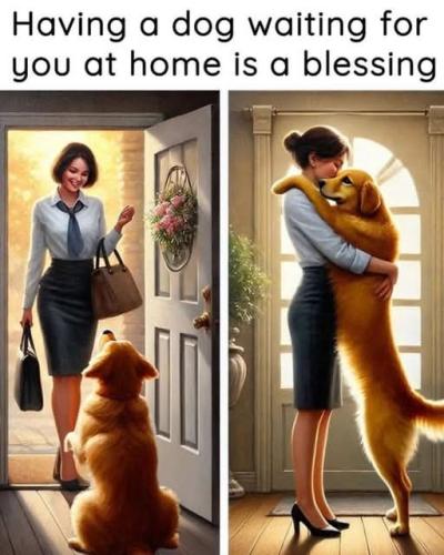 FB_IMG_1748899138056