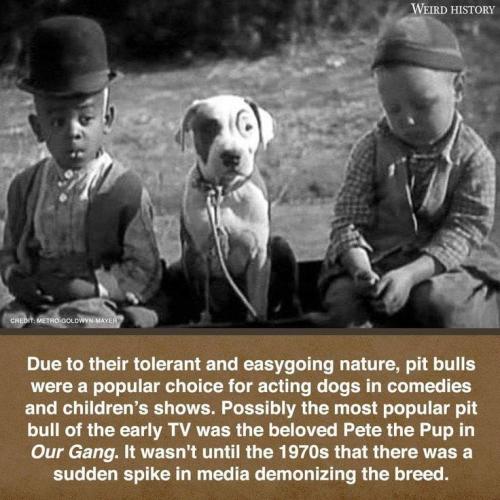 90ee5c78538865a5d2820ef9599ba97b