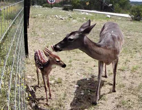 Just a bit more cleaning