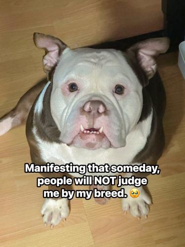 FB_IMG_1750514022657