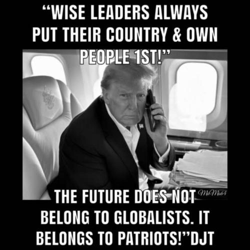 9e7cc6525f7c050bedc8cdc59b48d559