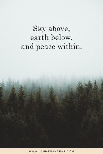 1f2fc88384a5d1b9b4a76a35b8c8272a