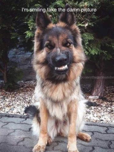 FB_IMG_1750862487001