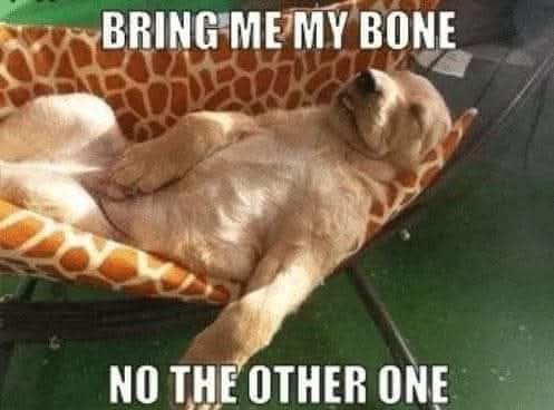 FB_IMG_1750003251622