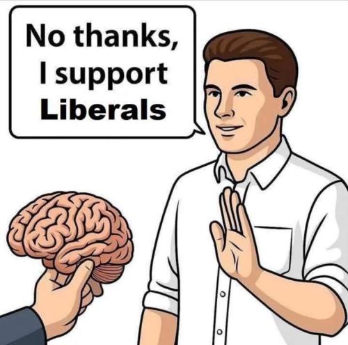 308c5fdba0c3a3db8bde19c3108ff13b