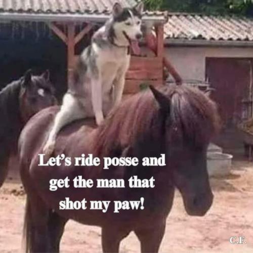 FB_IMG_1748779446098