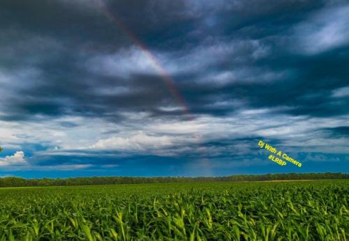 Screenshot_20250619_204630_Lightroom for Samsung