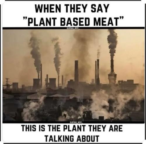 509547557_1306650990818745_7590135952402266058_n