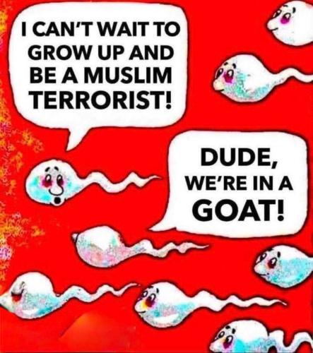 FB_IMG_1750866564584