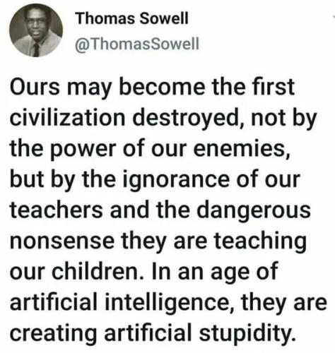 THOMAS SOWELL STUPID