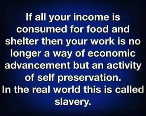 504248632_732514745968120_6163469764935924904_n