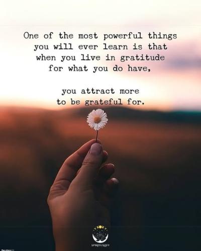 e27bb346744d0a29ff0651f29423579e