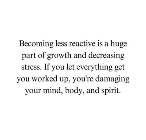 509434041_742116531674608_7332172155204424400_n