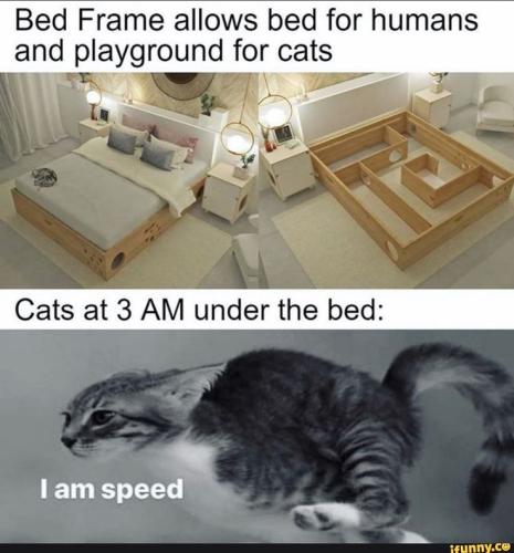 3b398c90e3b23fb9747128425f304ef3