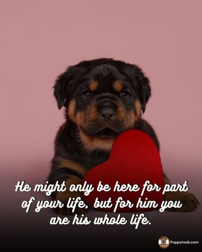 FB_IMG_1749830569662