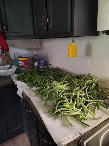 IMG_20250626_185809823_HDR