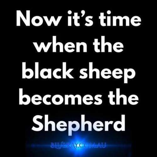 504419752_732411649675030_754852874491042035_n