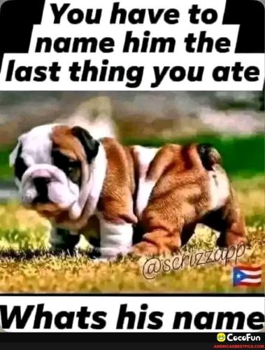 97c1a9552be0b3076fad70fa286a926e88ebff2c66c55cf0cc87fafdf5883a65_1