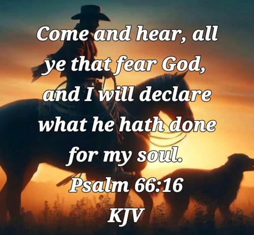 c498900d-c2aa-48b6-8f59-df173076de96