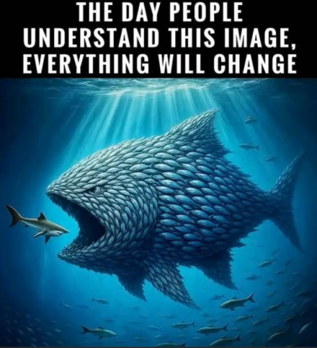 Screenshot 2025-06-04 155017