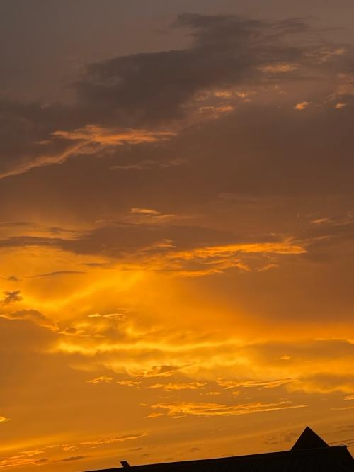 8C88D644-584C-4580-A115-4D0AA9D804D8