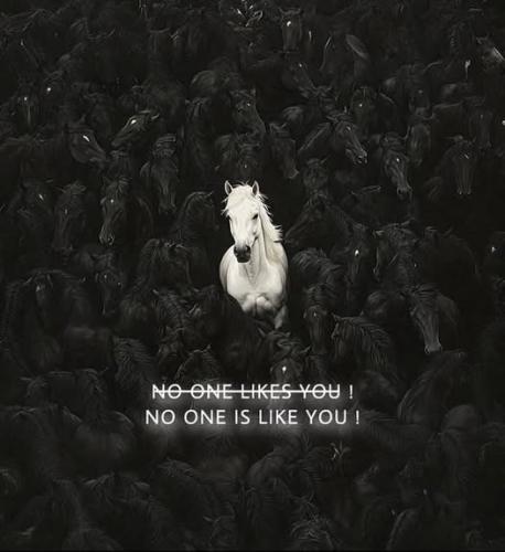 487950733_674408275086547_8687912462748042804_n