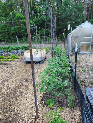 IMG_20250605_072916628_HDR