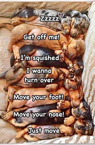 FB_IMG_1750509755396