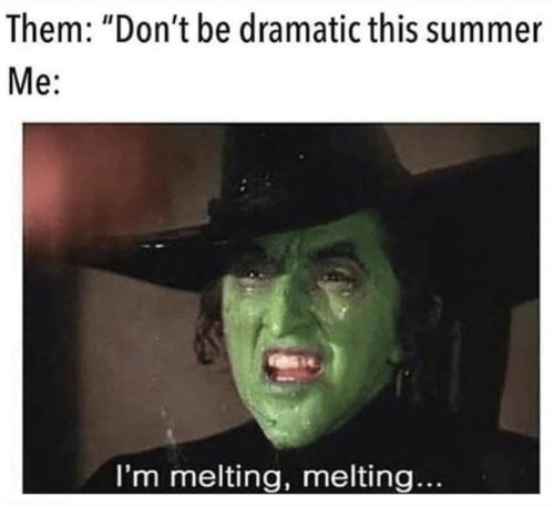 Screenshot_20250625_062501_Gallery